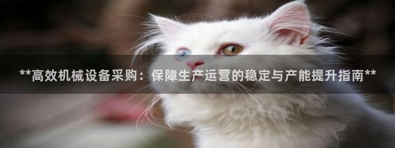 九游会提款快吗