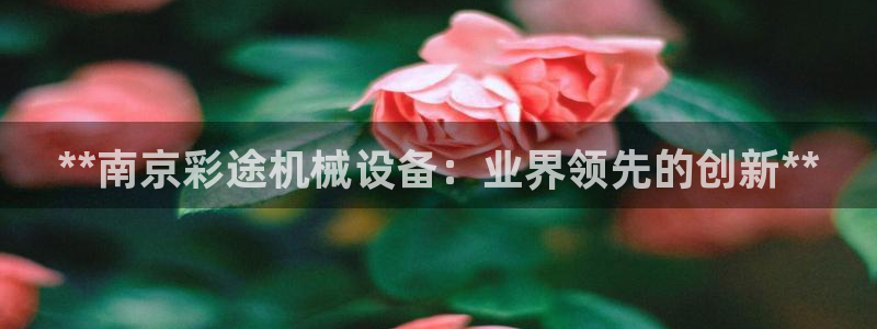 ag九游最新