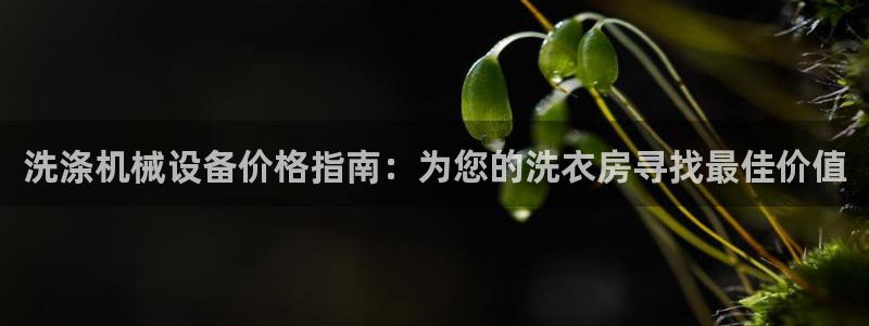 九游会ag平台