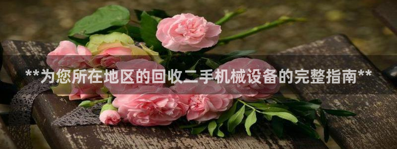 九游会ag网址大全专业版
