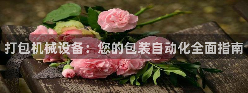 J9九游会老哥