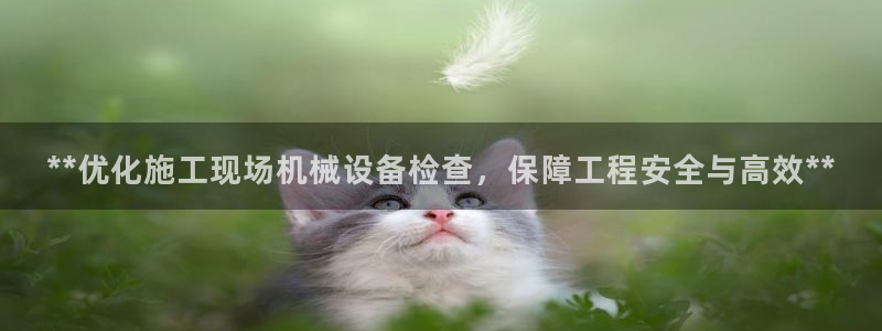九游会AG在线平台