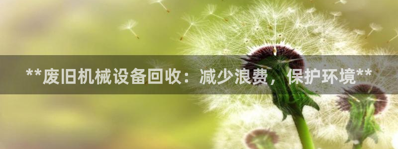 九游会ag私享