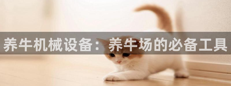 J9九游会老哥俱乐部官方