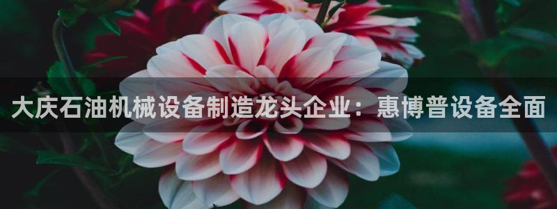 九游会官网多少