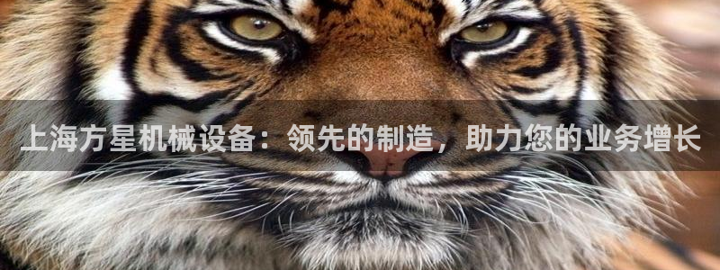 j9游会真人游戏第一品牌
