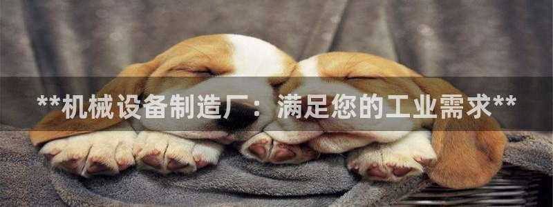 ag九游会登录j9入口