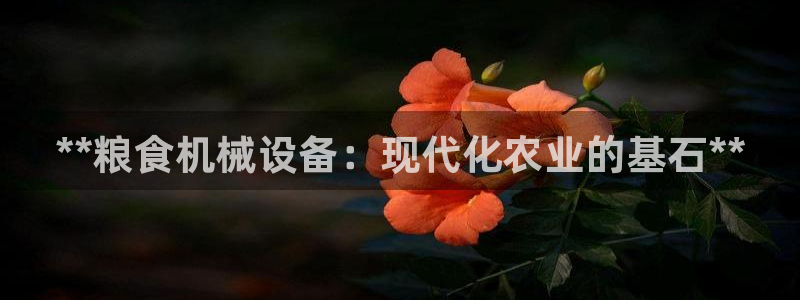 j9九游会app下载