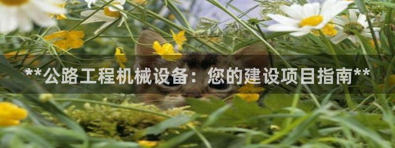 ag改名九游会
