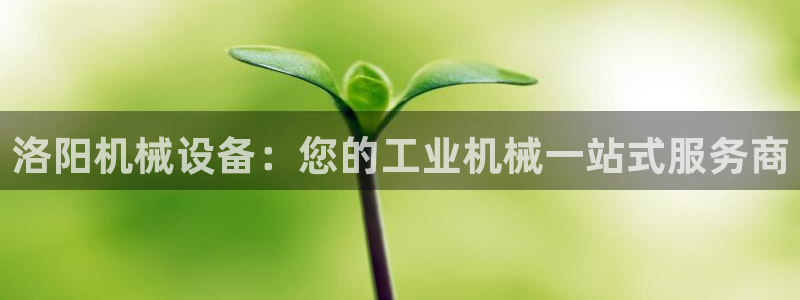 J9九游会J9