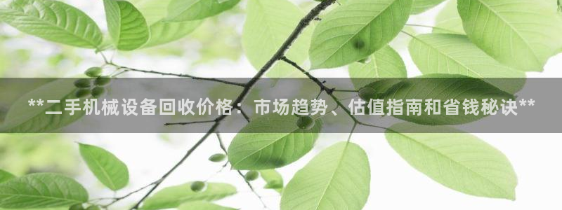 九游会是不是黑网
