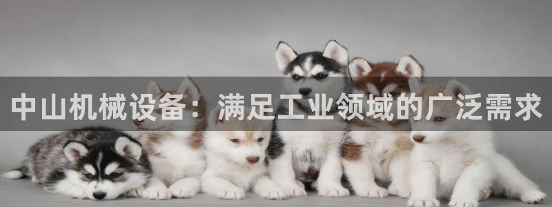 J9九游会ag