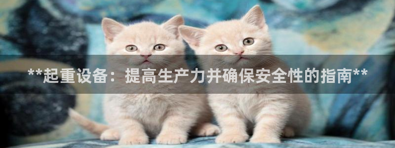 九游会j9官网登陆