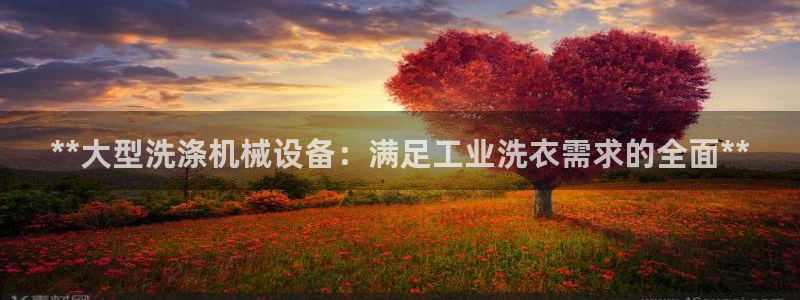 九游会app下载版官网正版