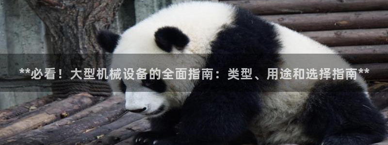 九游会集团正规吗