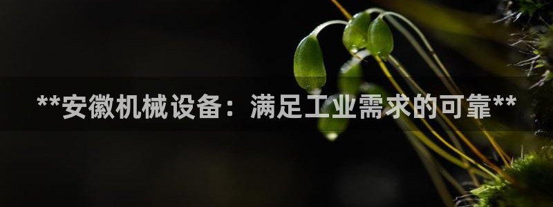 j9.com
