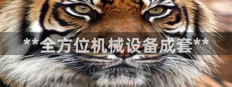 九游会老哥必备的交流社区