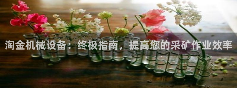 九游会平台最强