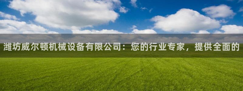 9游会ag