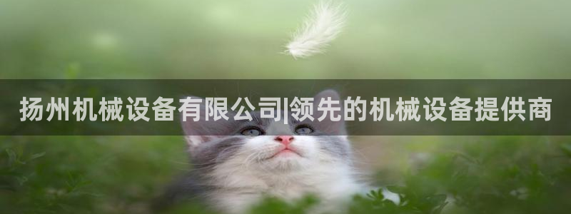 j9九游会会员日