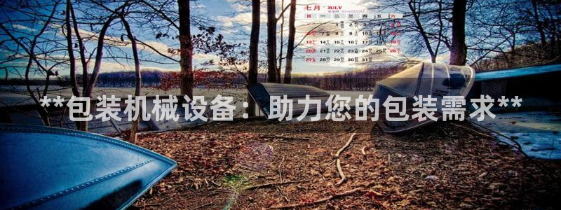 九游会AGapp下载