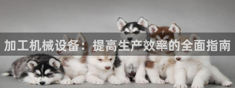 九游会官网客户端