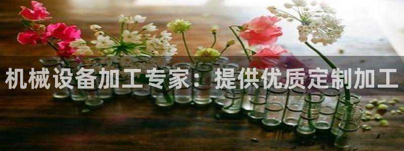 九游会老哥俱乐部官网