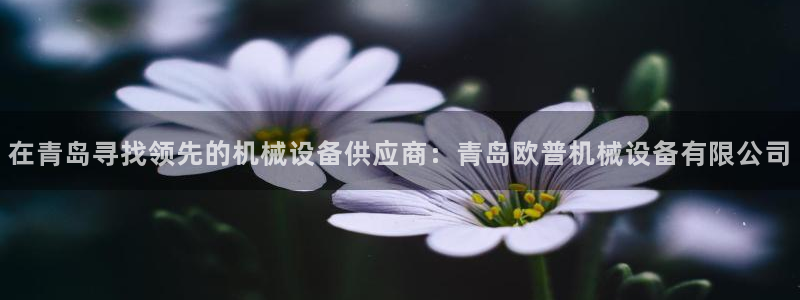 九游会j9全站平台