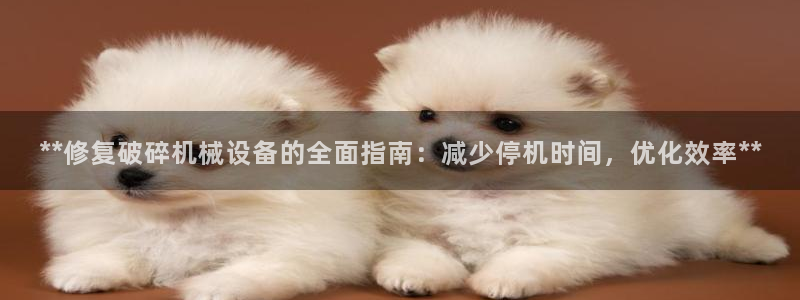 九游会官网jy