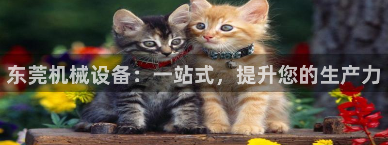 ag九游会老哥俱乐部