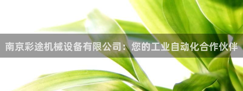 ag九游最新