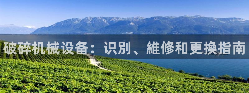 九游会j9官方登录入口