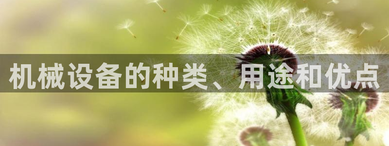 ag变成九游会