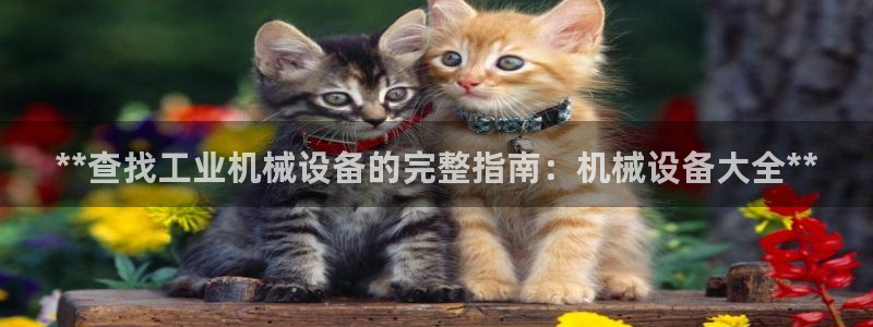 ag怎么变成九游会了