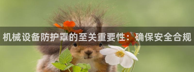 j9p下载