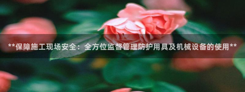 九游会怎么了