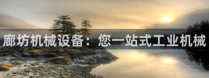 九游会是ag吗