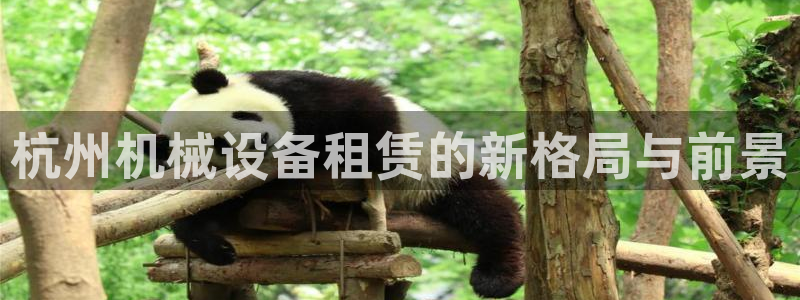 j9j4.cn