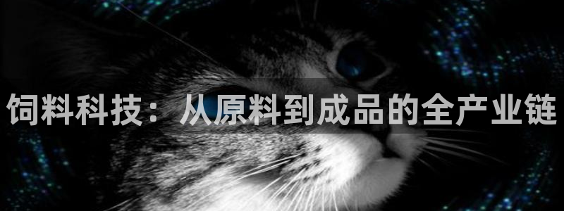 ag怎么变成九游会了