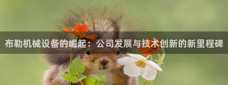 九游会是什么组织