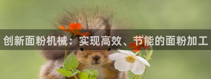 j9官网平台