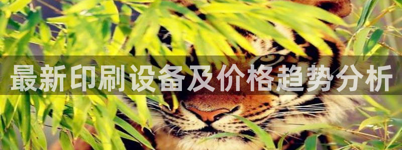 九游会官网贴吧
