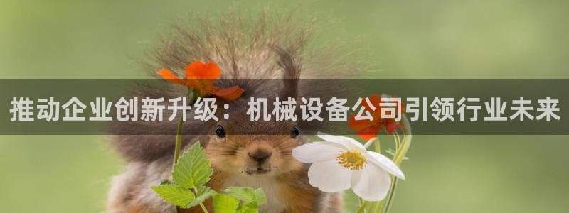 九游会的网址是多少