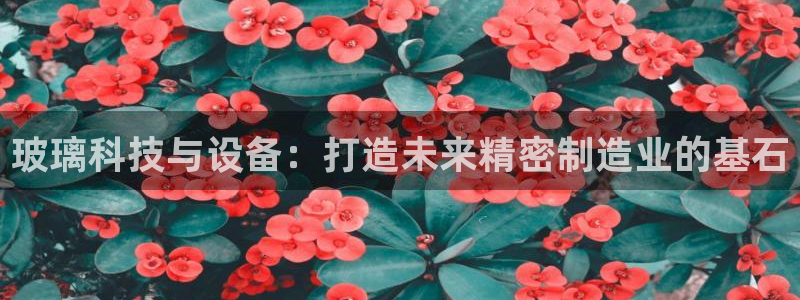 J9九游会登陆
