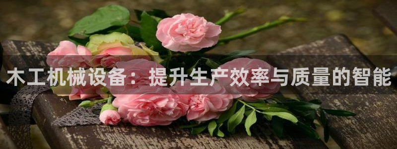 九游会个人中心登录页面