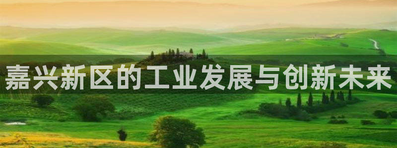 九游j9登录：嘉兴新