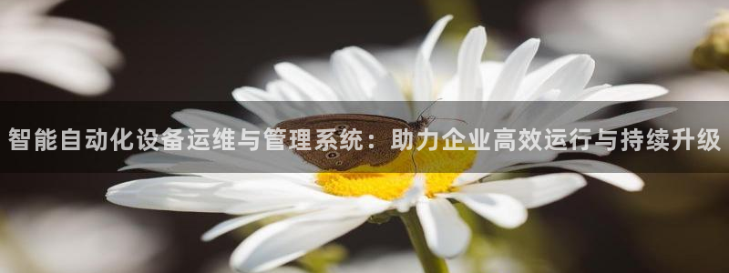 九游会登录网站吗