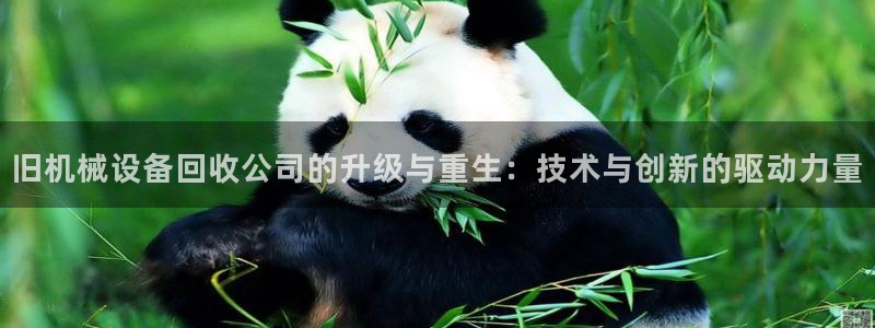 ag九游会官网网址