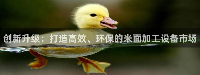 九游会j9登录官网