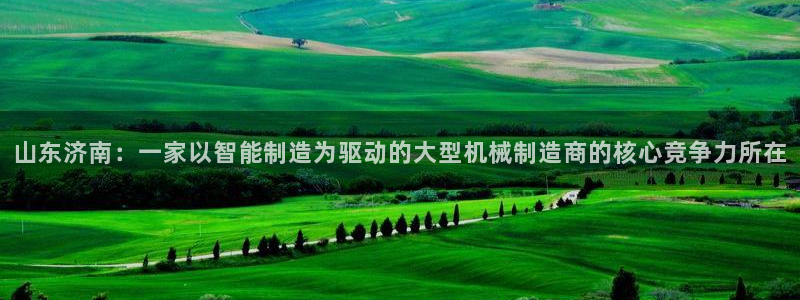 九游会登录网站吗